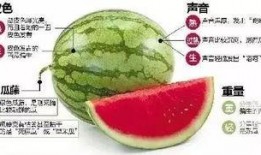 微信吃瓜渠道免费吃瓜,轻松成为吃瓜群众！